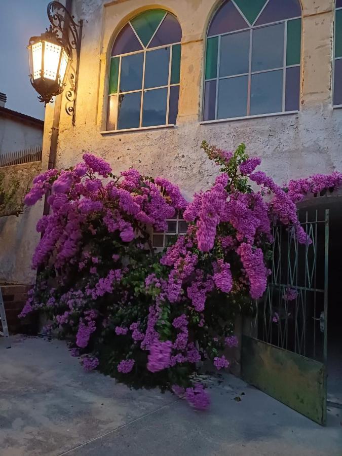 Corte Averaldo San Felice del Benaco Exteriör bild